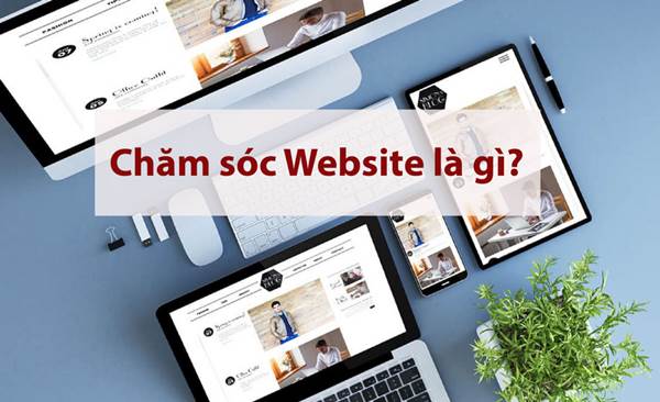 tổng quan dịch vụ chăm sóc website