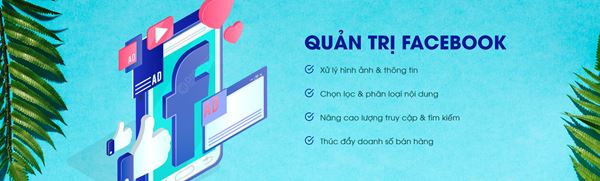 360 Media sẽ đưa ra các đề xuất và cải thiện để tối ưu hóa fanpage